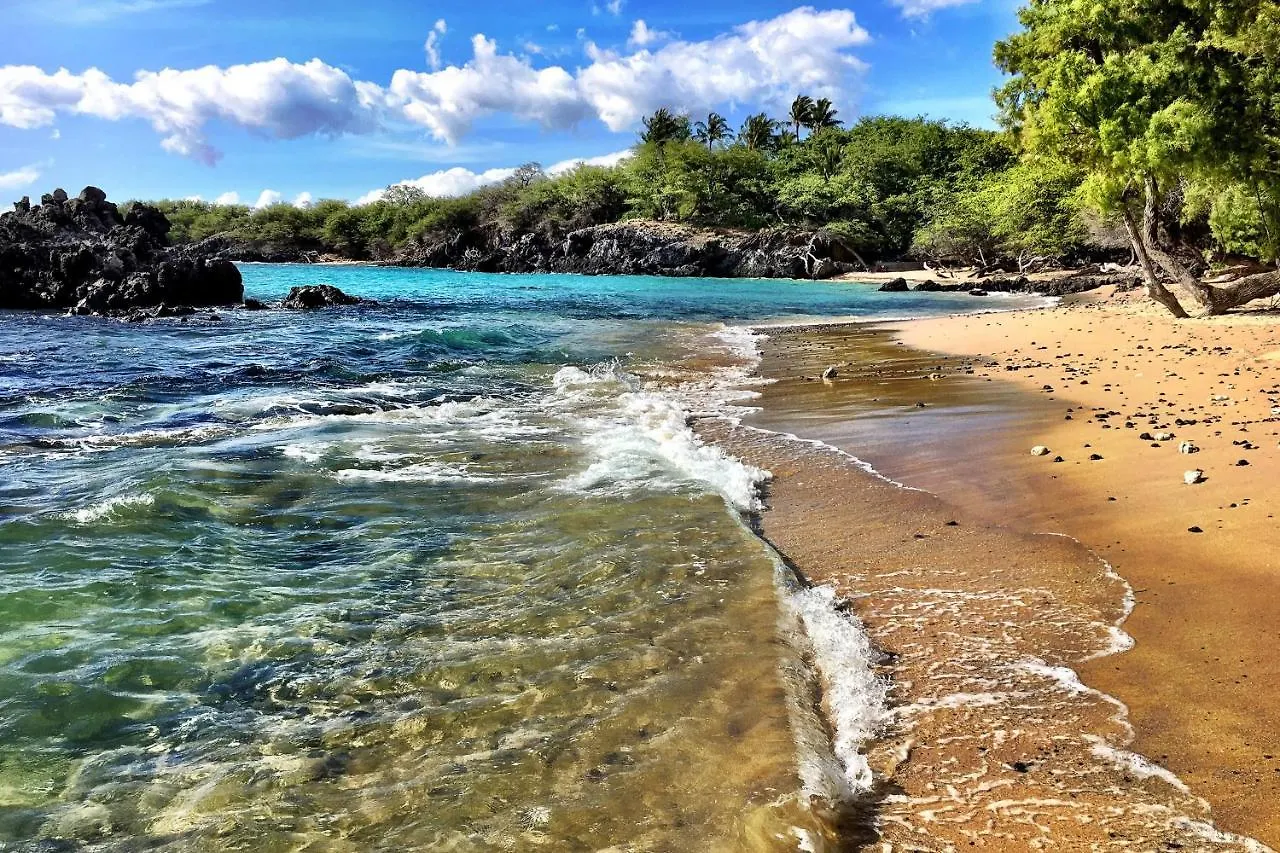 Nyaraló Tropical Dolphin B Villa Pahoa Amerikai Egyesült Államok